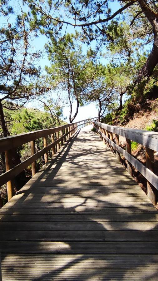 Вилла Ancos Little House -Sintra Countryside- Montelavar Экстерьер фото